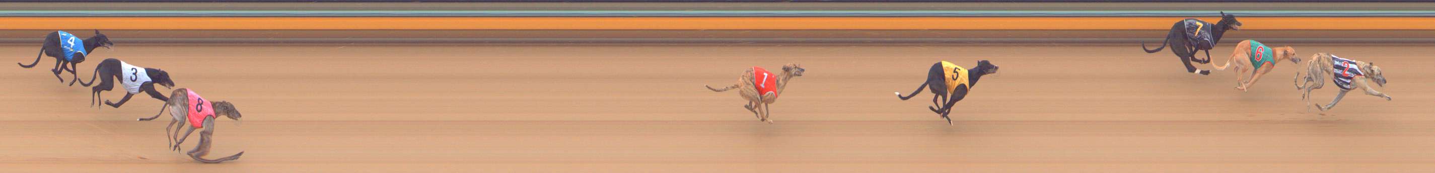 Photo finish for Bendigo Race 7