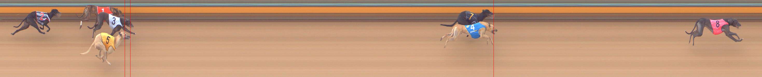 Photo finish for Bendigo Race 8