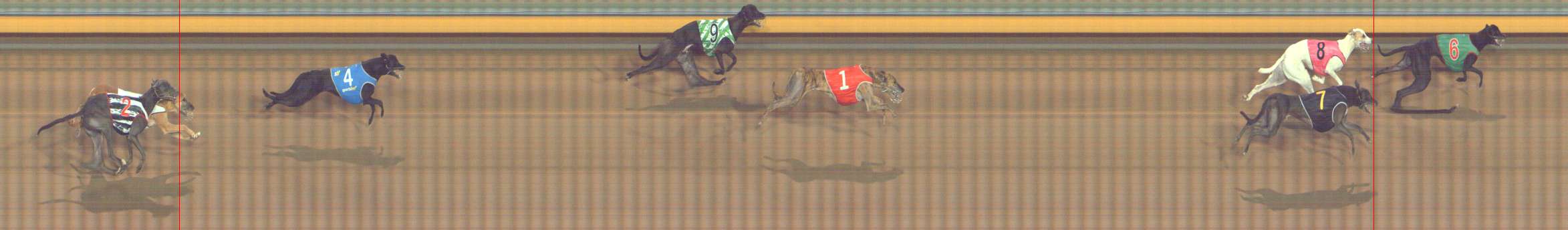 Photo finish for Bendigo Race 12