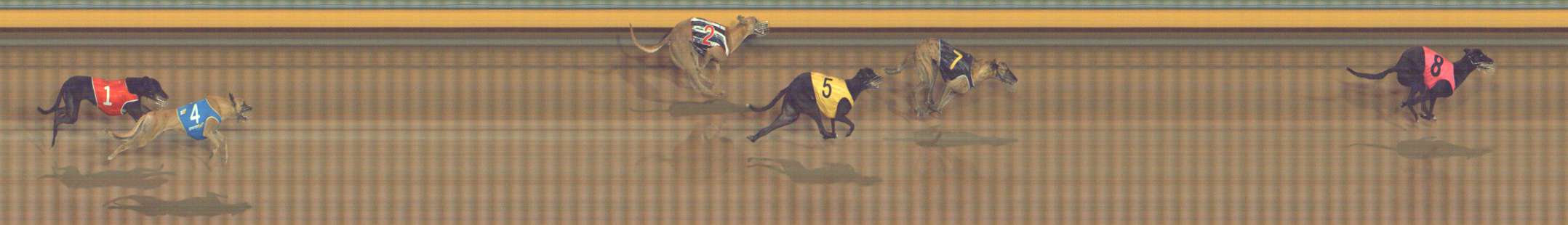 Photo finish for Bendigo Race 2