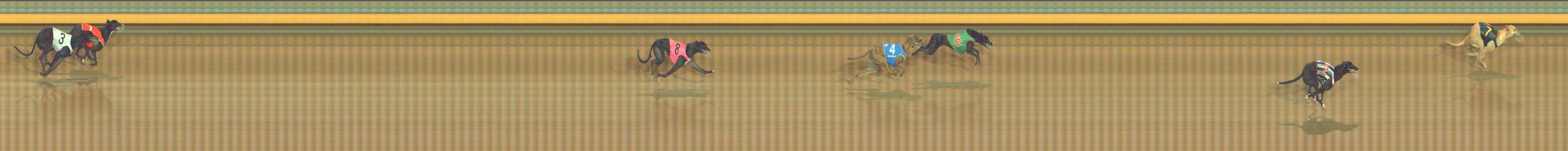 Photo finish for Bendigo Race 4
