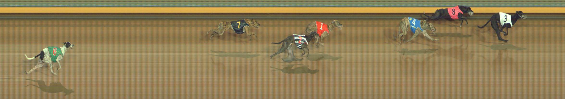 Photo finish for Bendigo Race 7
