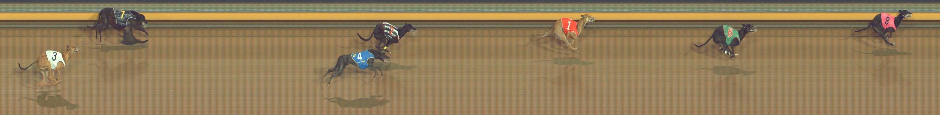 Photo finish for Bendigo Race 8