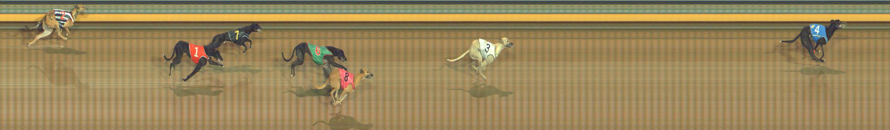 Photo finish for Bendigo Race 9