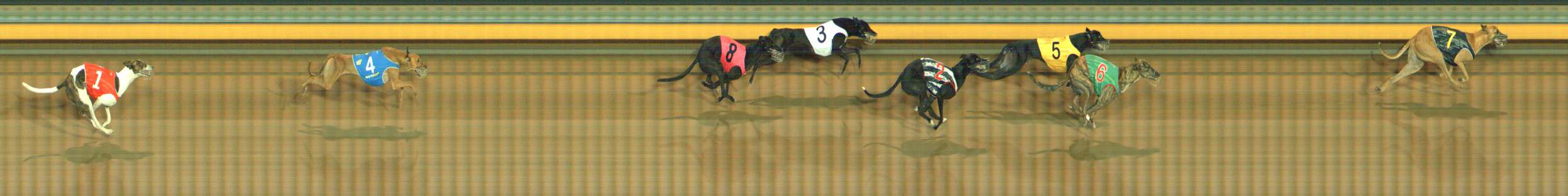 Photo finish for Bendigo Race 10