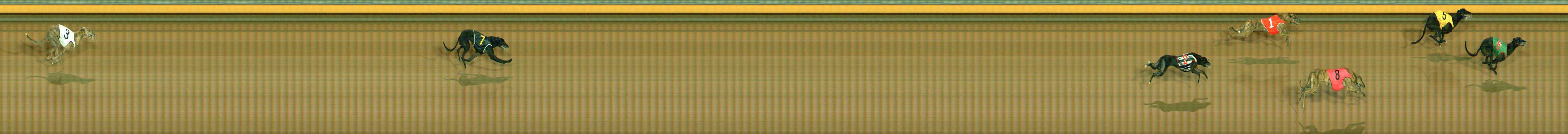 Photo finish for Bendigo Race 11