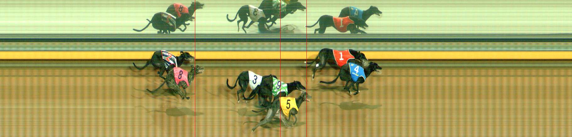 Photo finish for Bendigo Race 12