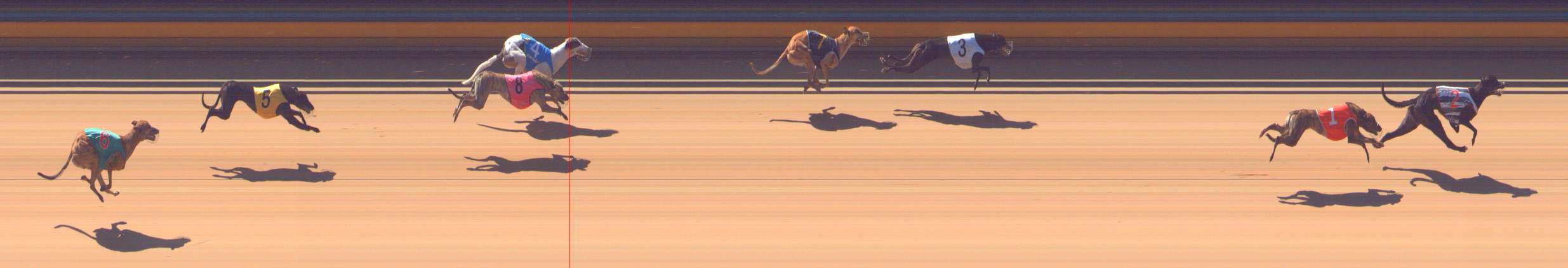 Photo finish for Bendigo Race 1