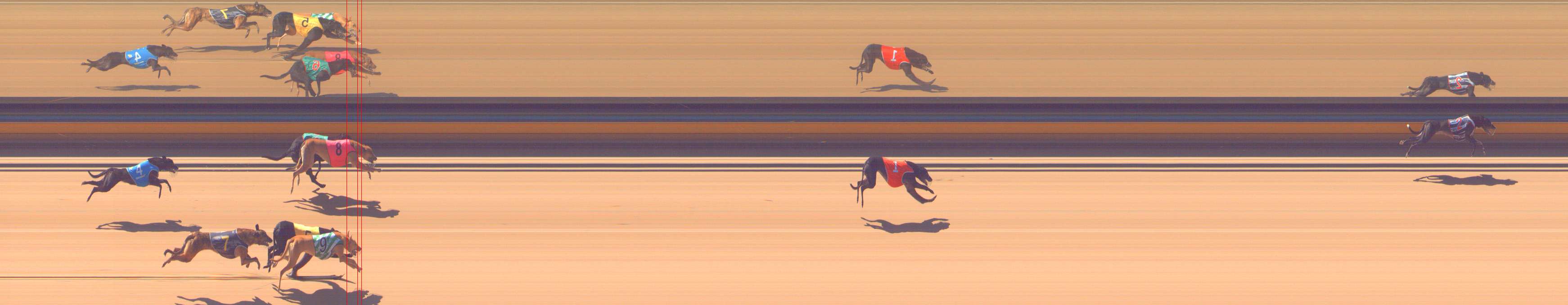 Photo finish for Bendigo Race 2