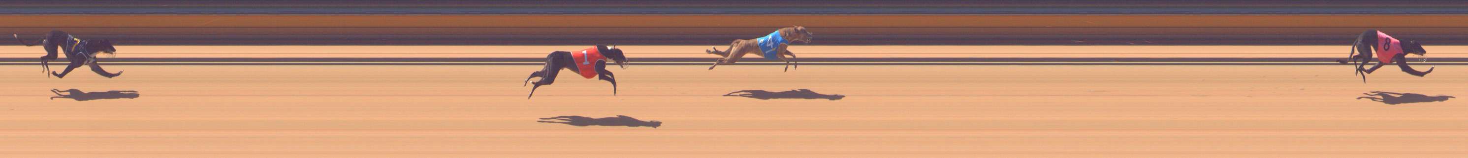 Photo finish for Bendigo Race 4