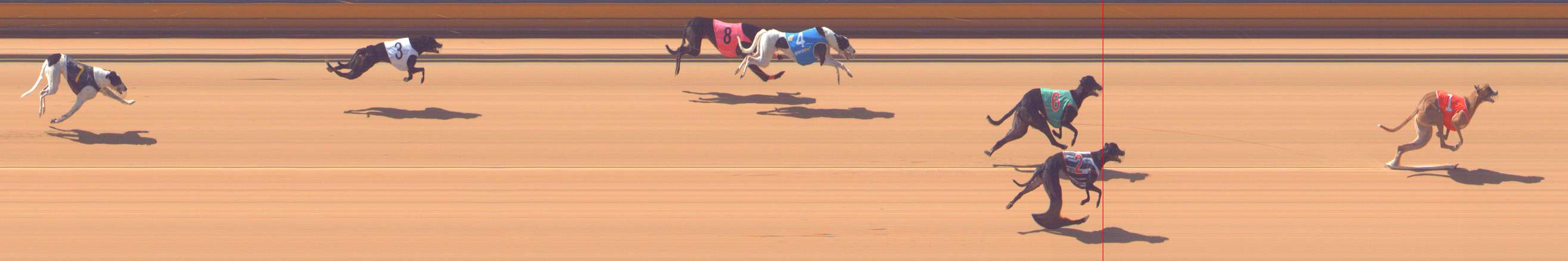 Photo finish for Bendigo Race 5