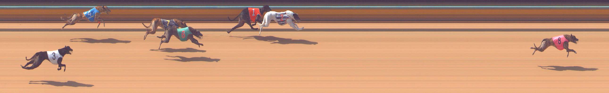 Photo finish for Bendigo Race 6