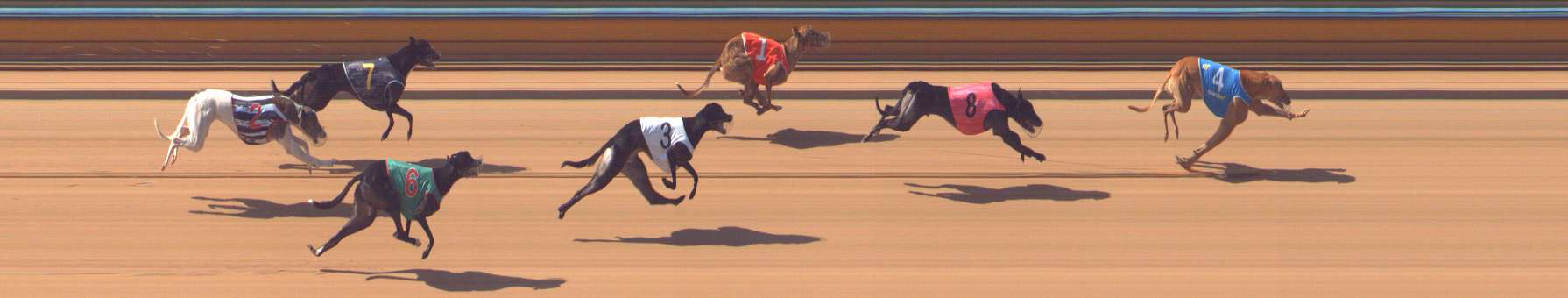 Photo finish for Bendigo Race 7