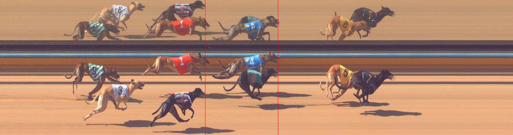 Photo finish for Bendigo Race 8