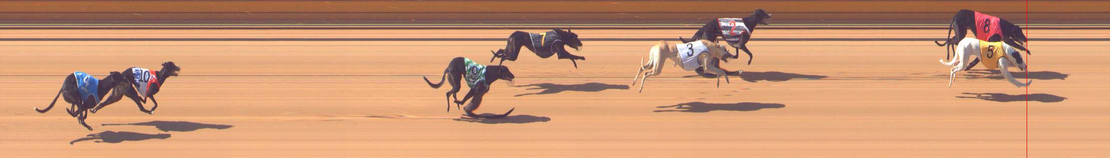Photo finish for Bendigo Race 9