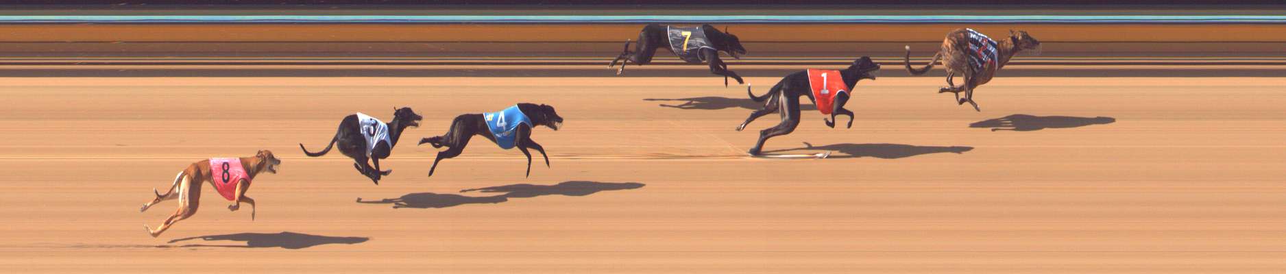 Photo finish for Bendigo Race 10