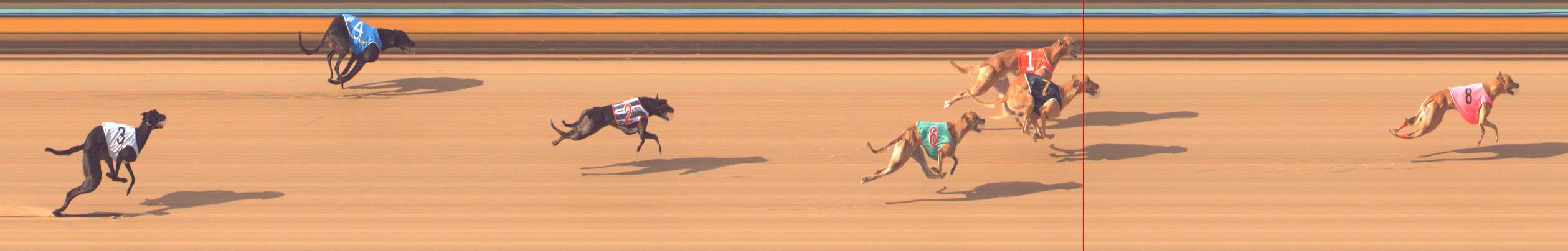 Photo finish for Bendigo Race 12