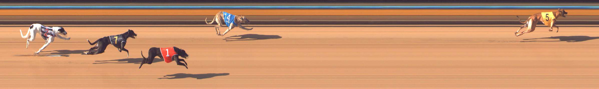 Photo finish for Bendigo Race 2