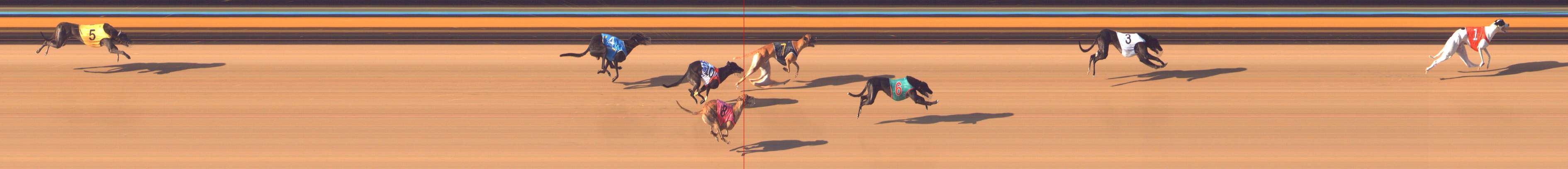 Photo finish for Bendigo Race 3