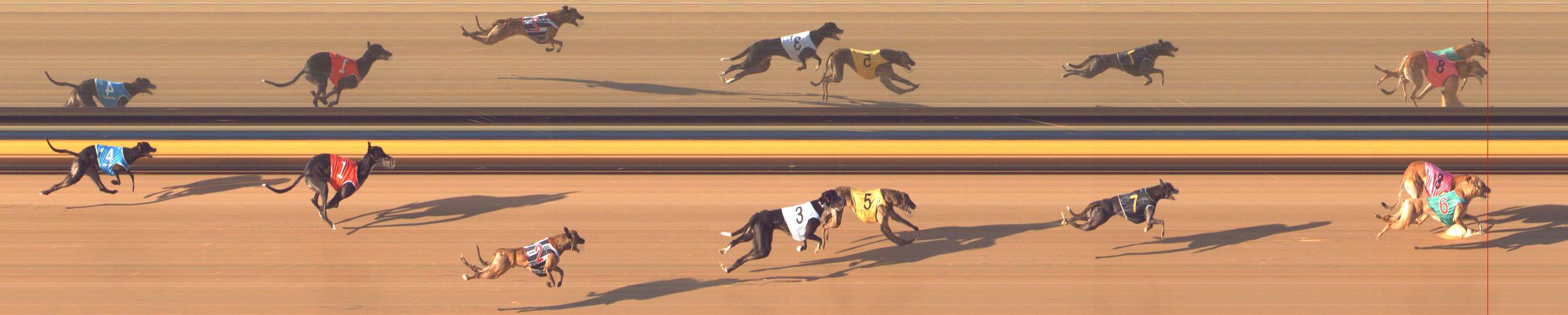 Photo finish for Bendigo Race 5