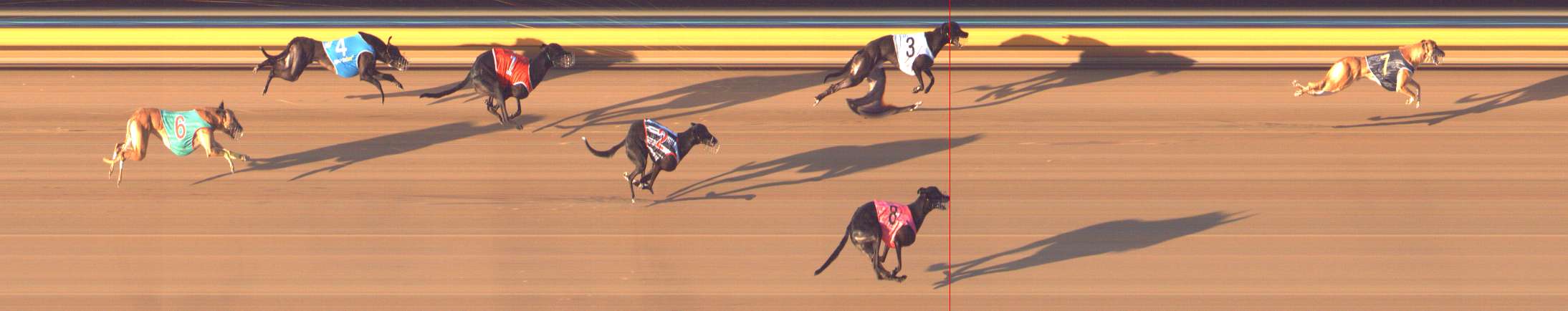 Photo finish for Bendigo Race 6