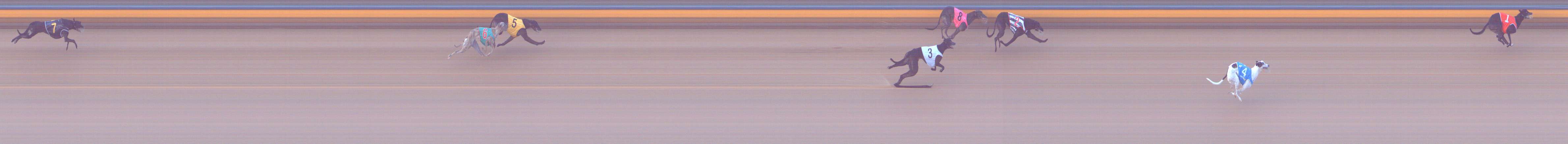 Photo finish for Bendigo Race 8