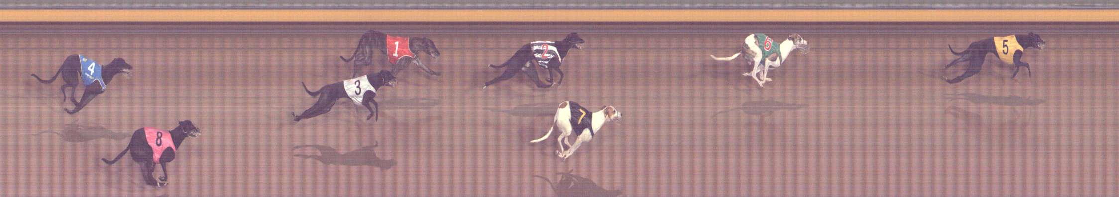 Photo finish for Bendigo Race 11