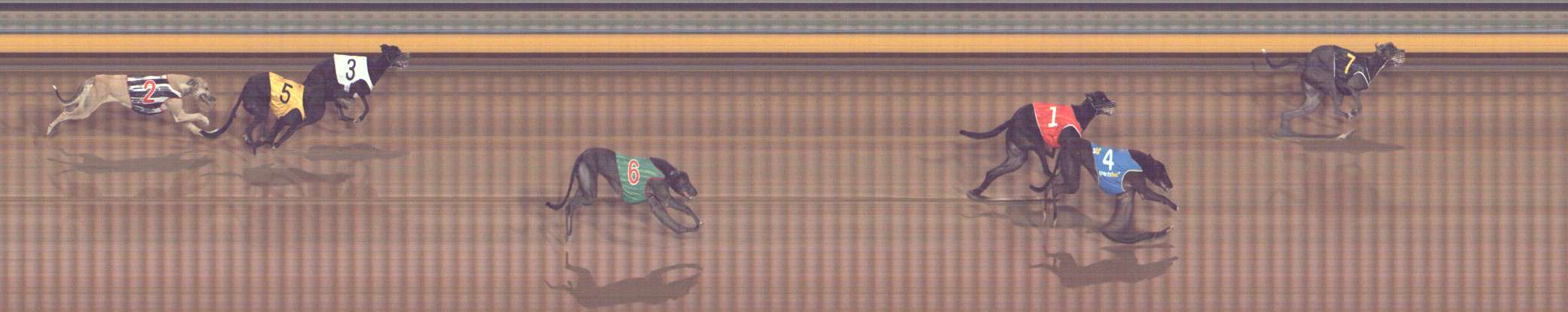 Photo finish for Bendigo Race 12