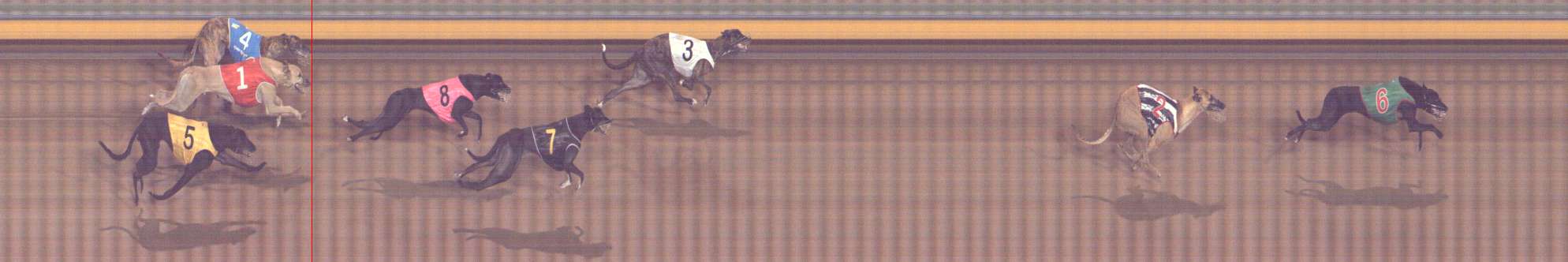 Photo finish for Bendigo Race 13