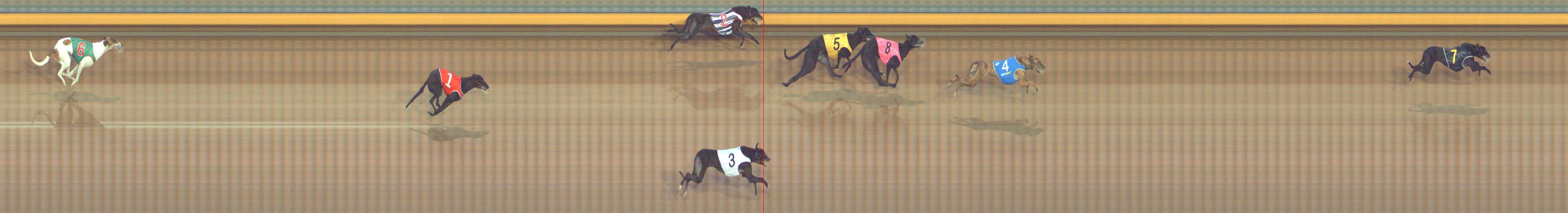 Photo finish for Bendigo Race 1