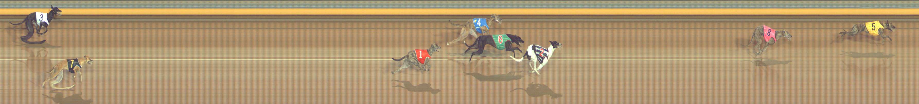 Photo finish for Bendigo Race 2