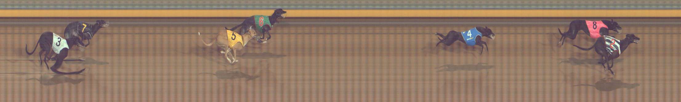 Photo finish for Bendigo Race 5