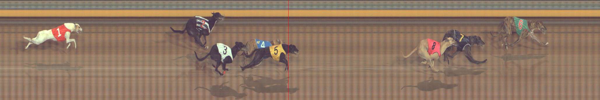 Photo finish for Bendigo Race 6