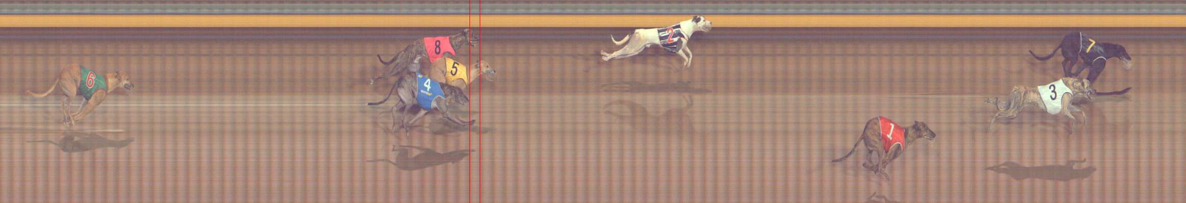 Photo finish for Bendigo Race 7