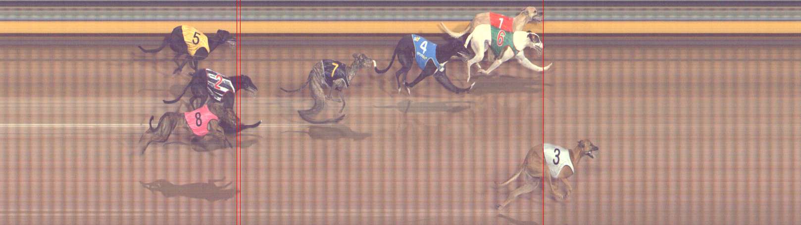 Photo finish for Bendigo Race 8