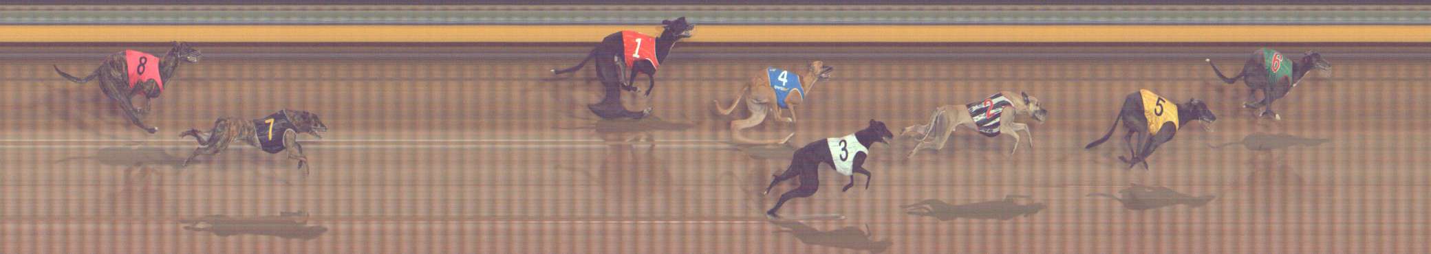 Photo finish for Bendigo Race 9