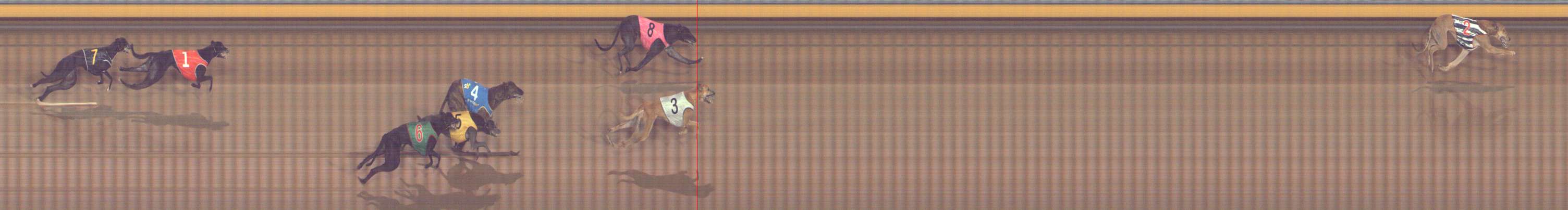 Photo finish for Bendigo Race 10