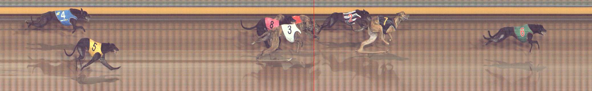 Photo finish for Bendigo Race 11