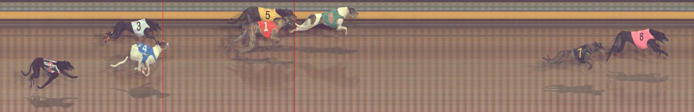 Photo finish for Bendigo Race 12