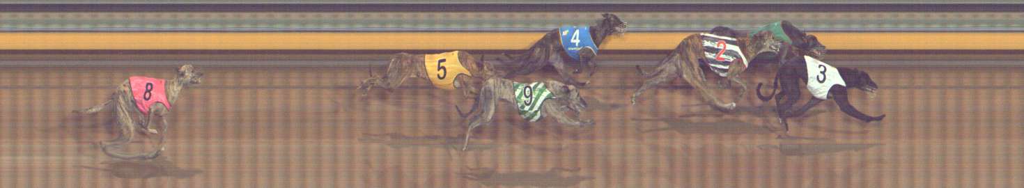 Photo finish for Bendigo Race 13