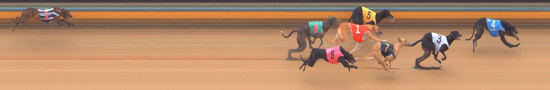 Photo finish for Bendigo Race 4