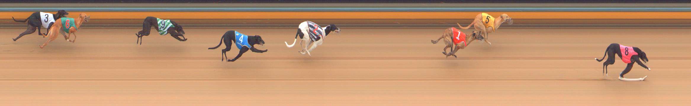 Photo finish for Bendigo Race 5