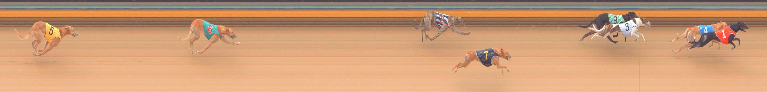 Photo finish for Bendigo Race 6