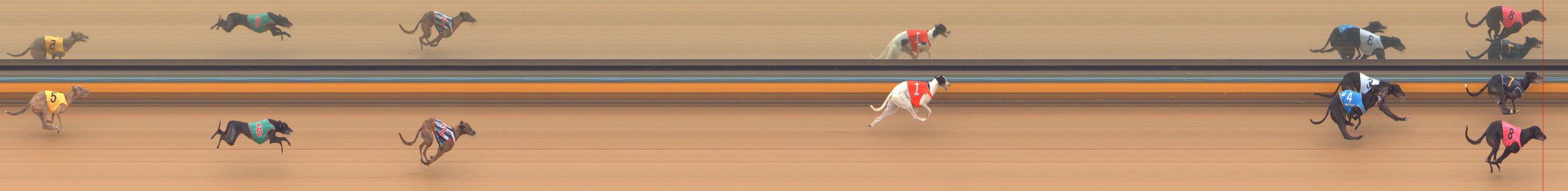 Photo finish for Bendigo Race 7