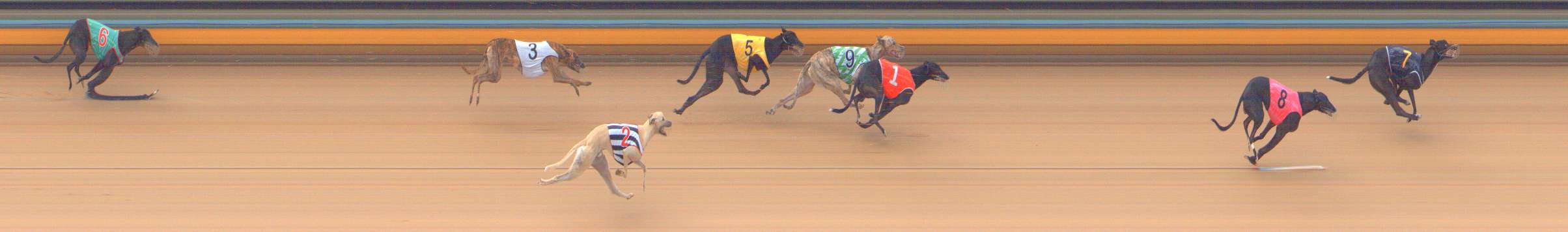 Photo finish for Bendigo Race 9