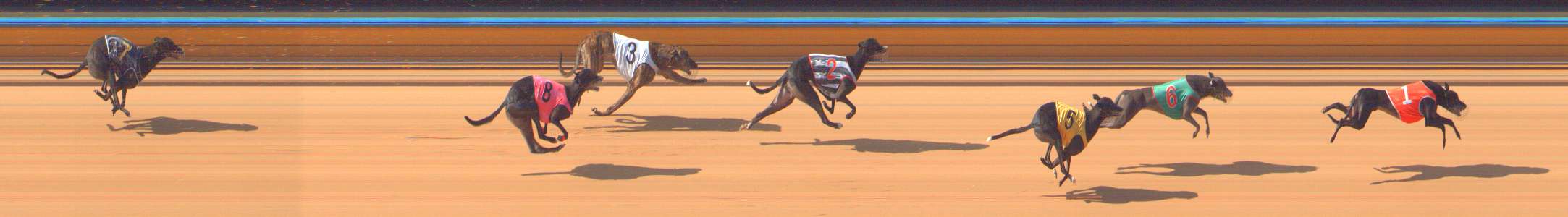 Photo finish for Bendigo Race 12