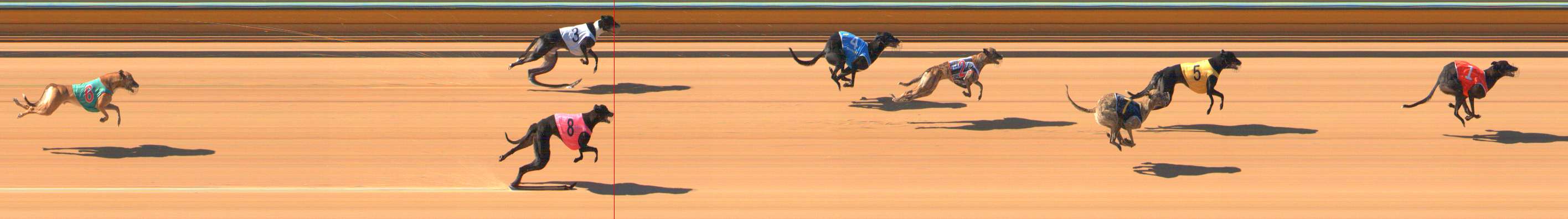 Photo finish for Bendigo Race 2