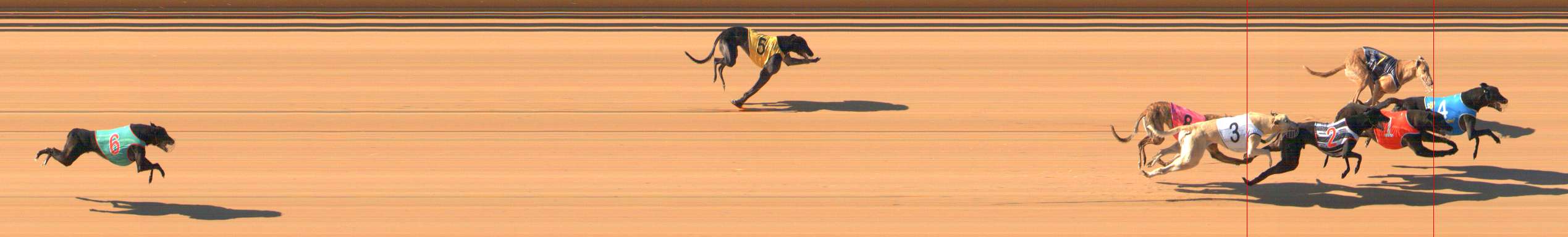 Photo finish for Bendigo Race 3