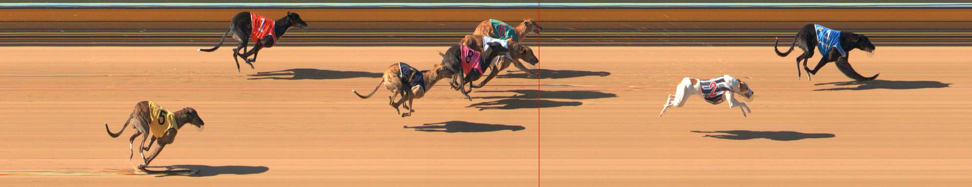 Photo finish for Bendigo Race 4