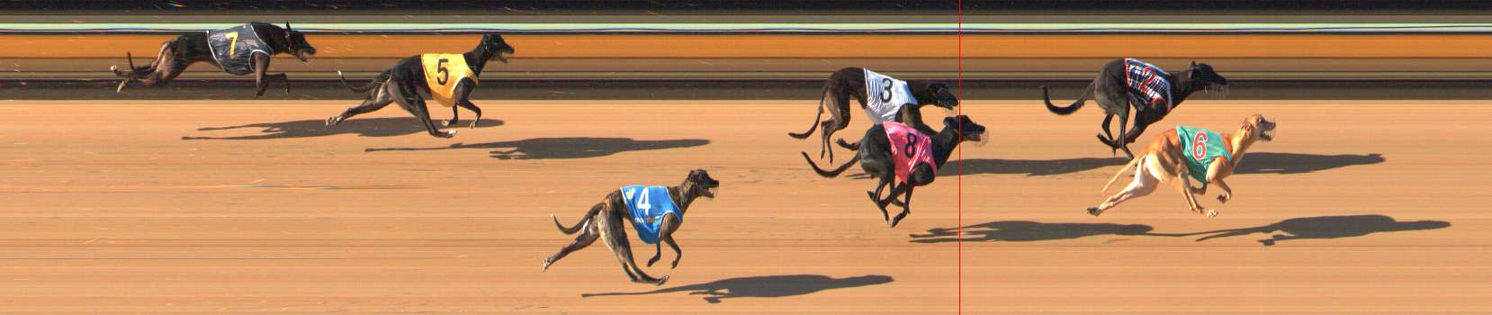 Photo finish for Bendigo Race 5